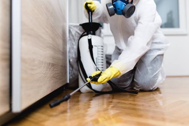 Best Pest Control for Restaurants  in Taft, FL
