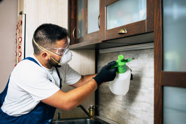 Best Flea Control Services  in Taft, FL