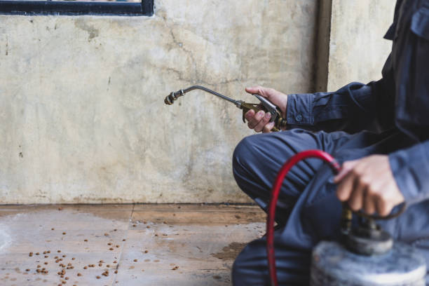 Best Rat Extermination Near Me  in Taft, FL
